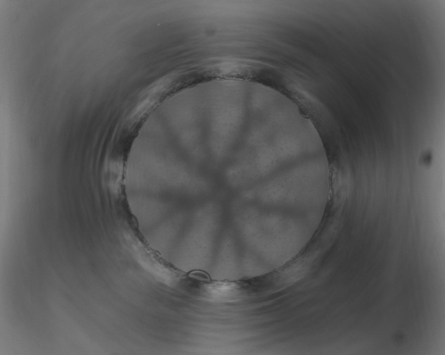 X0000116490189200912231159