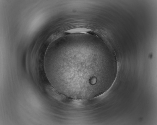 X0000116490190200912231159