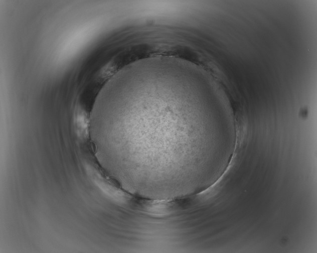 X0000116490191200912231159