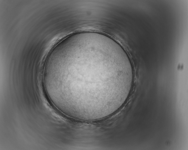 X0000116490193200912231158