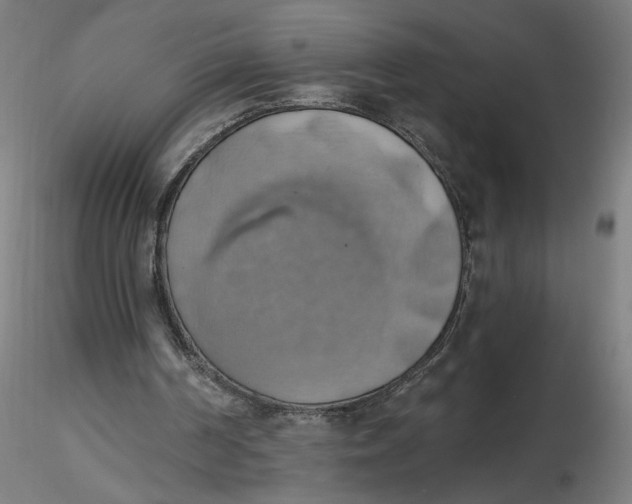 X0000116490194200912231158