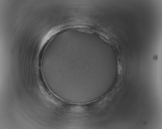 X0000116490198200912231158