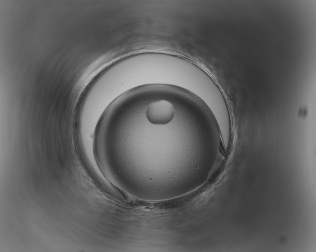 X0000116490199200912231158