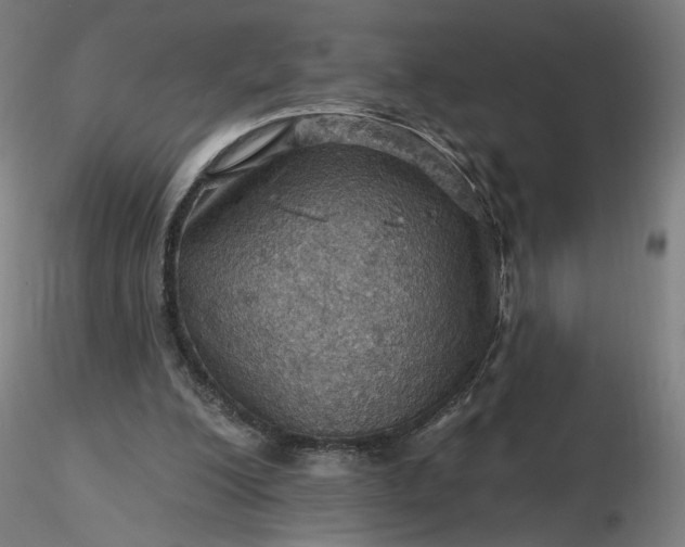 X0000116490200200912231158