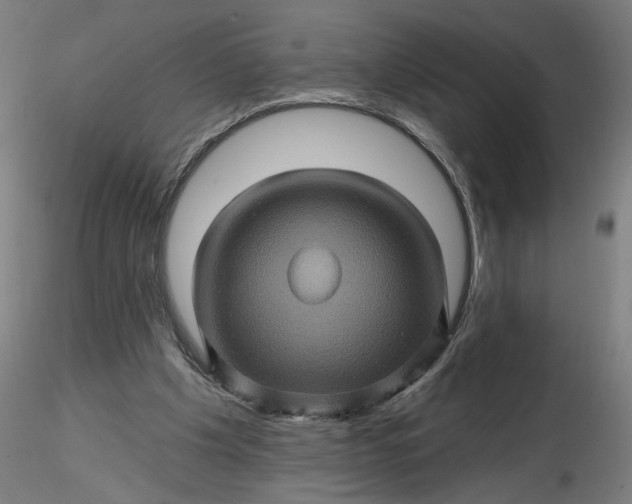 X0000116490201200912231158