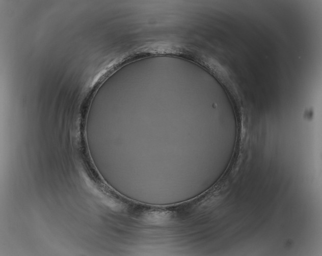 X0000116490202200912231158