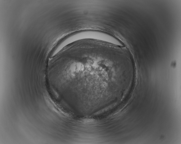 X0000116490203200912231158