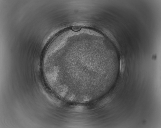 X0000116490204200912231158