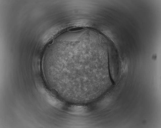 X0000116490205200912231158