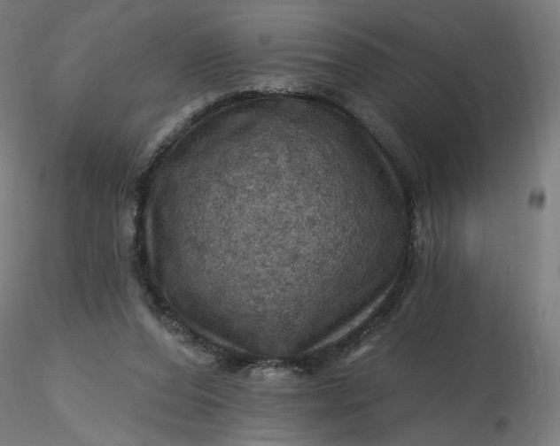 X0000116490208200912231158