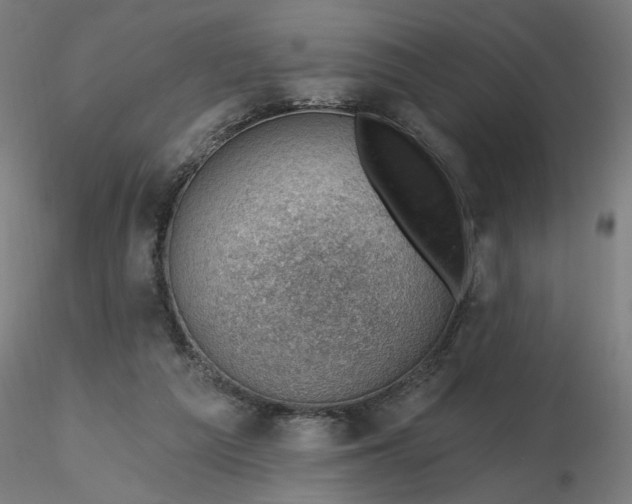 X0000116490209200912231158