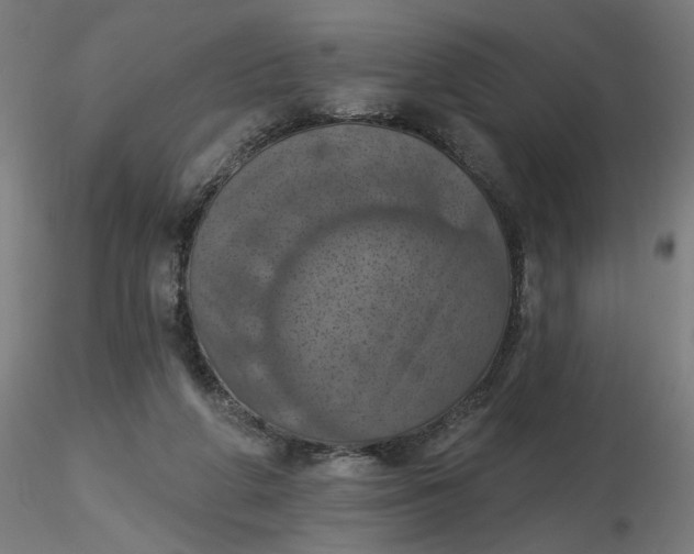 X0000116490210200912231158