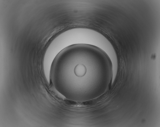 X0000116490212200912231158