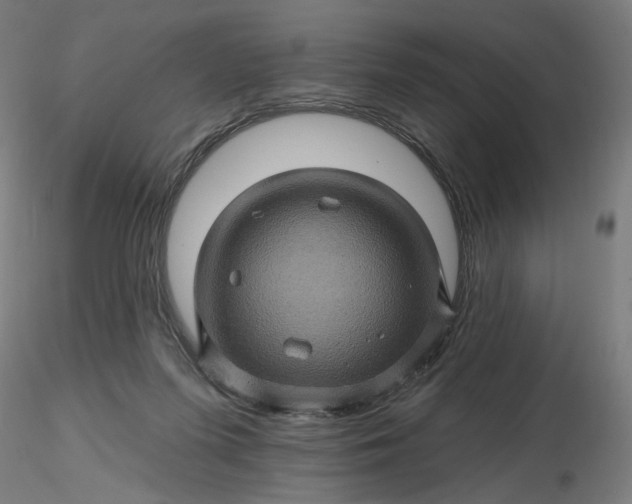 X0000116490215200912231158