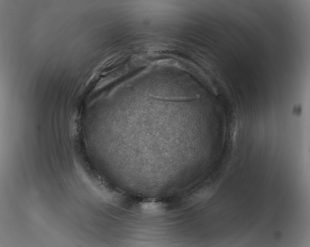 X0000116490216200912231158