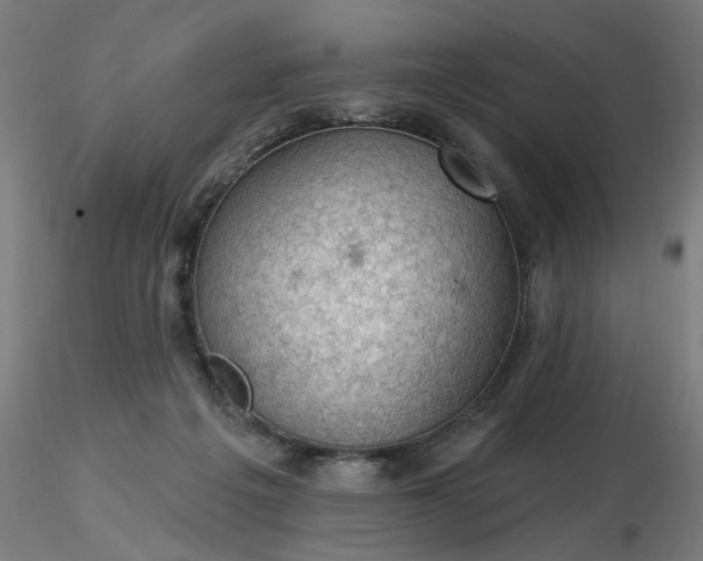 X0000116490217200912231158