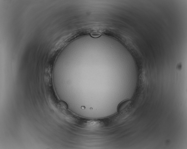 X0000116490218200912231158