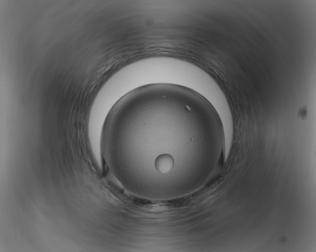 X0000116490219200912231158