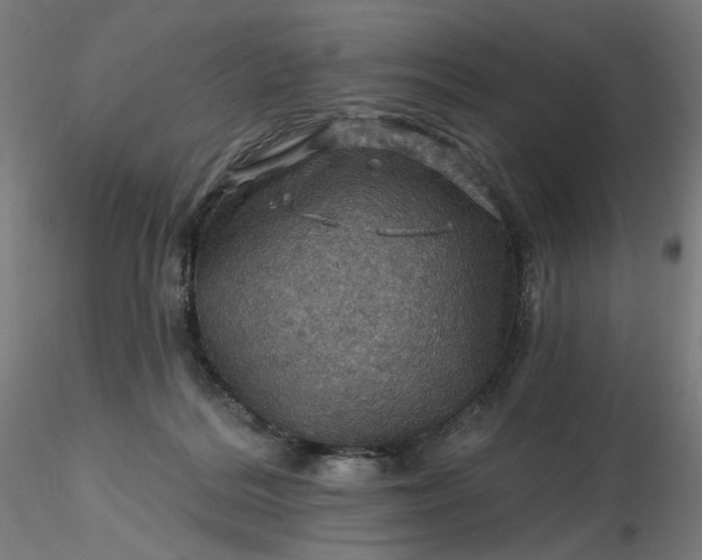 X0000116490220200912231158