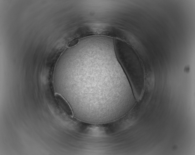 X0000116490221200912231158