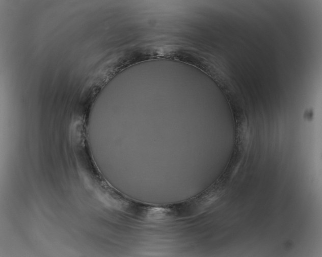 X0000116490222200912231158