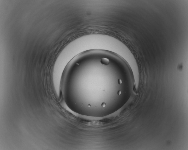 X0000116490225200912231158