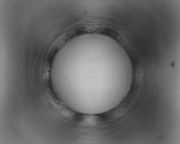 X0000116490226200912231158