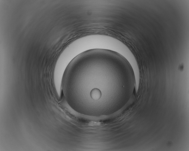 X0000116490227200912231158