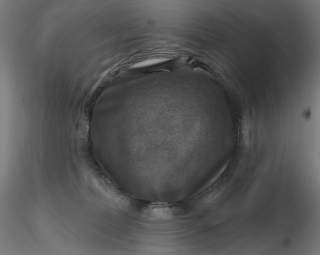 X0000116490228200912231158