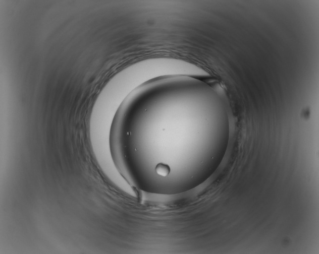 X0000116490229200912231158