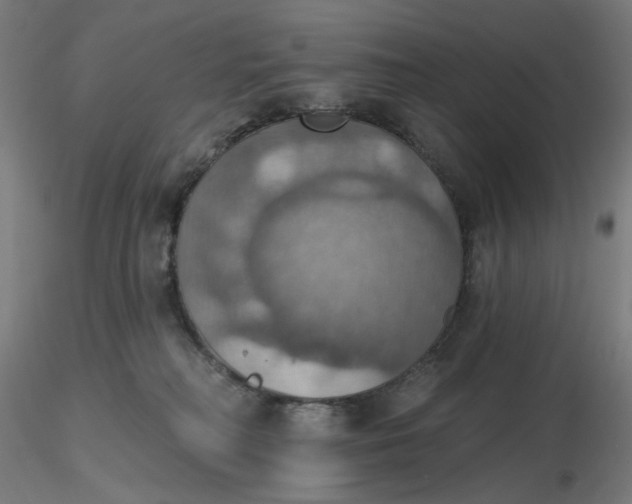 X0000116490230200912231158