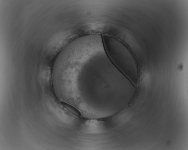 X0000116490231200912231158