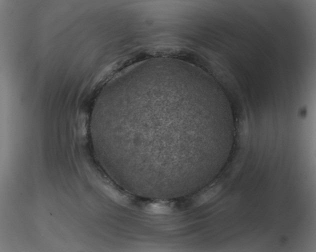 X0000116490232200912231158