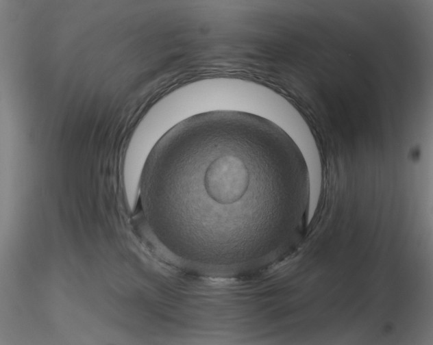 X0000116490233200912231158