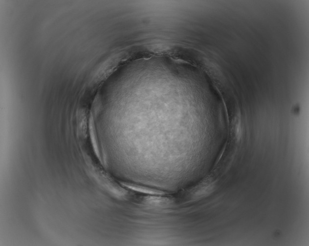 X0000116490234200912231158