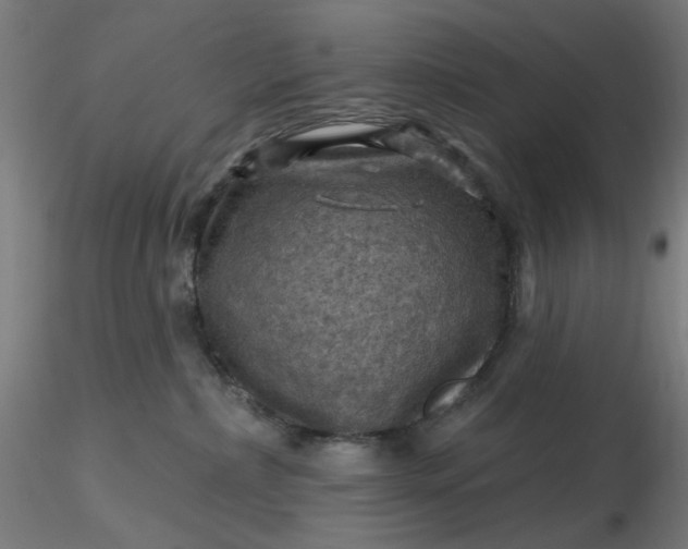 X0000116490236200912231158