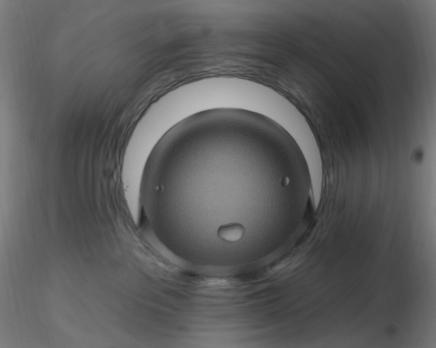 X0000116490237200912231158