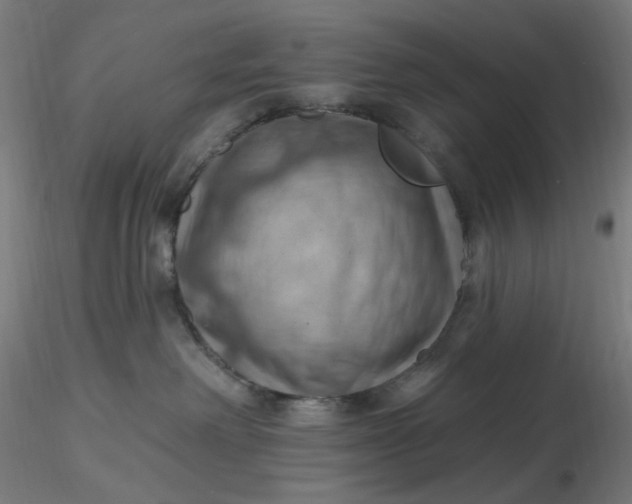 X0000116490238200912231158