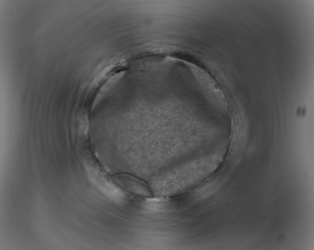 X0000116490240200912231158