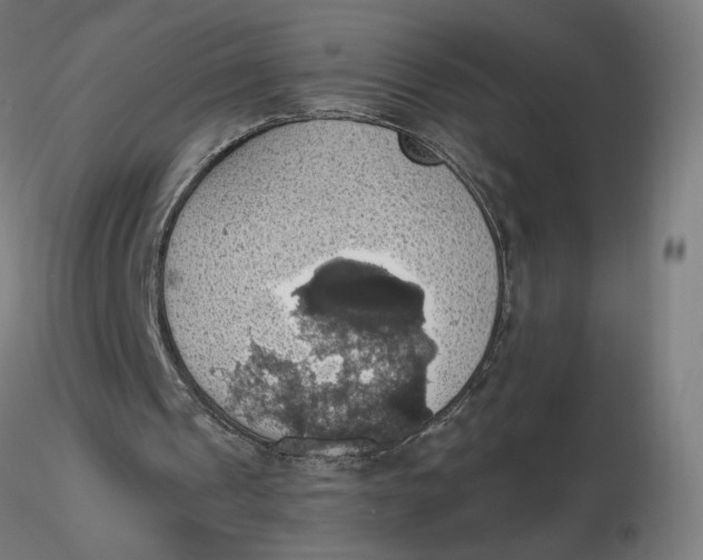 X0000116490241200912231157