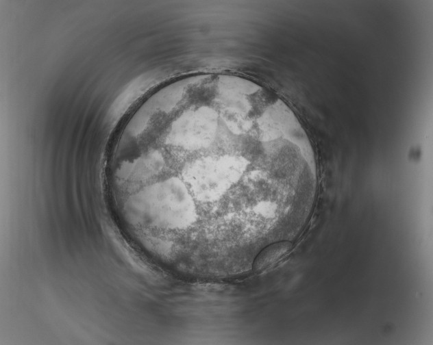 X0000116490242200912231157