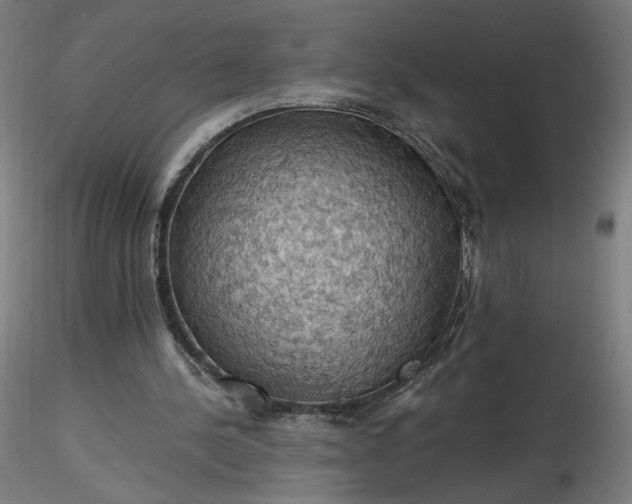 X0000116490244200912231157