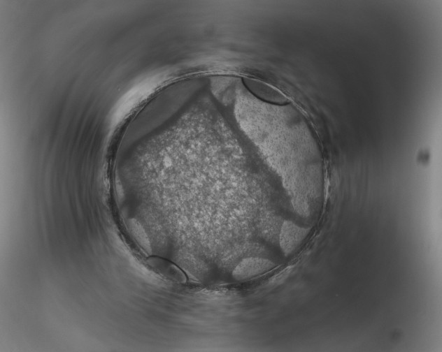 X0000116490245200912231157