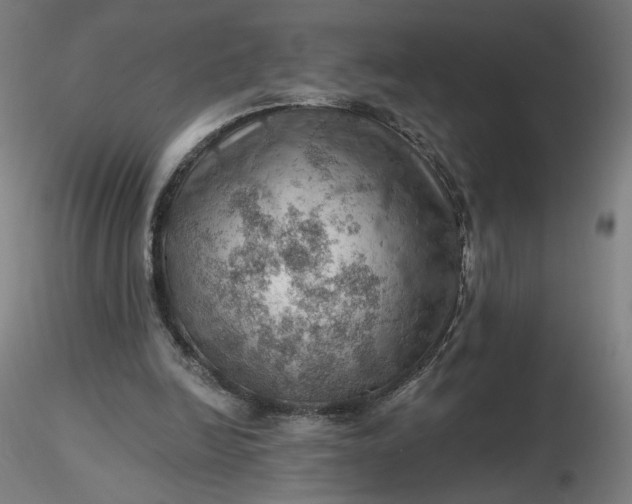 X0000116490246200912231157