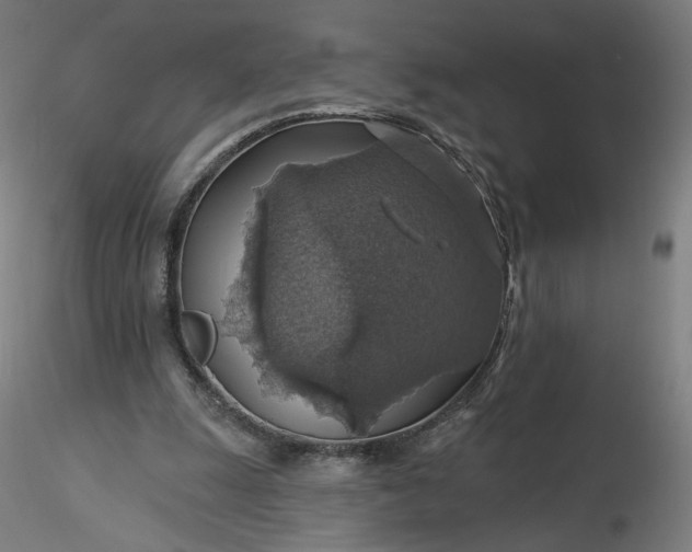 X0000116490247200912231157