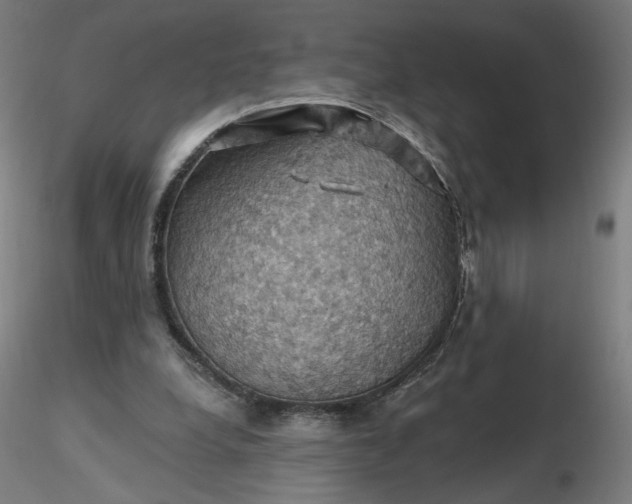 X0000116490248200912231157