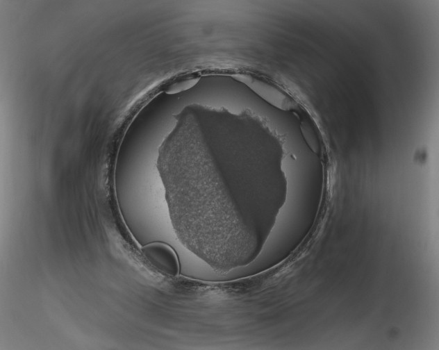 X0000116490249200912231157