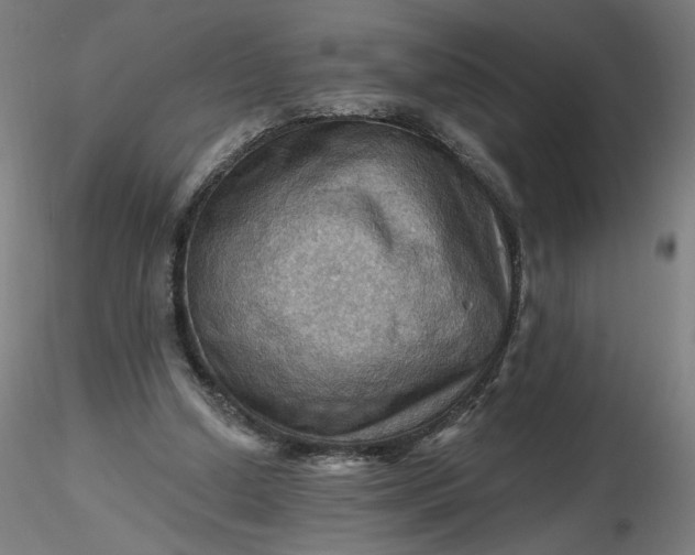 X0000116490250200912231157