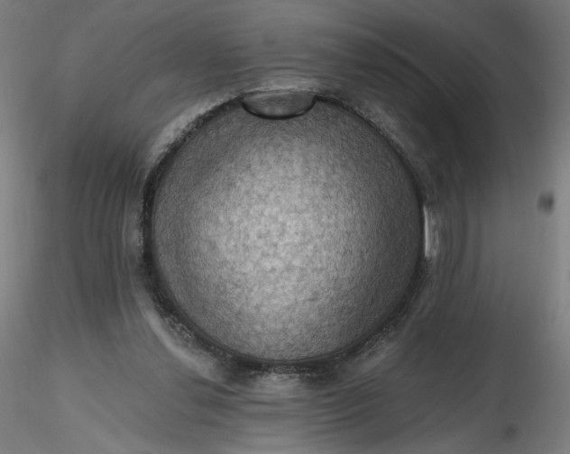 X0000116490252200912231157