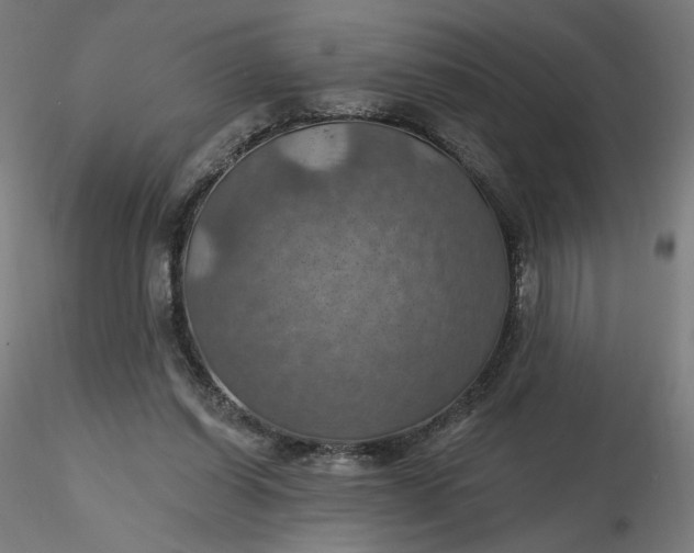 X0000116490254200912231157